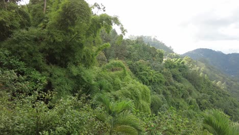 the blue mountains in jamaica, caribbean, middle america