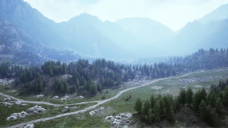 Sinuoso-Camino-De-Montaña-Sobre-Prados-Alpinos-Al-Borde-Del-Bosque