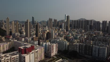 un disparo revelador desde detrás de un árbol del horizonte y los edificios de hong kong