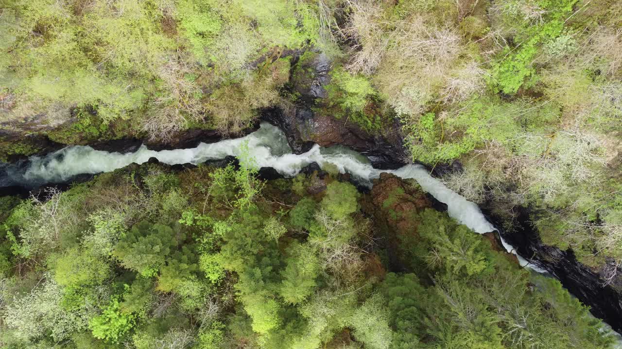 Spettacolare vista aerea del fiume all'interno della gola di Bordalsgjelet a Voss, Norvegia - Ripresa aerea che segue il corso del fiume e guarda giù in una profonda valle stretta.