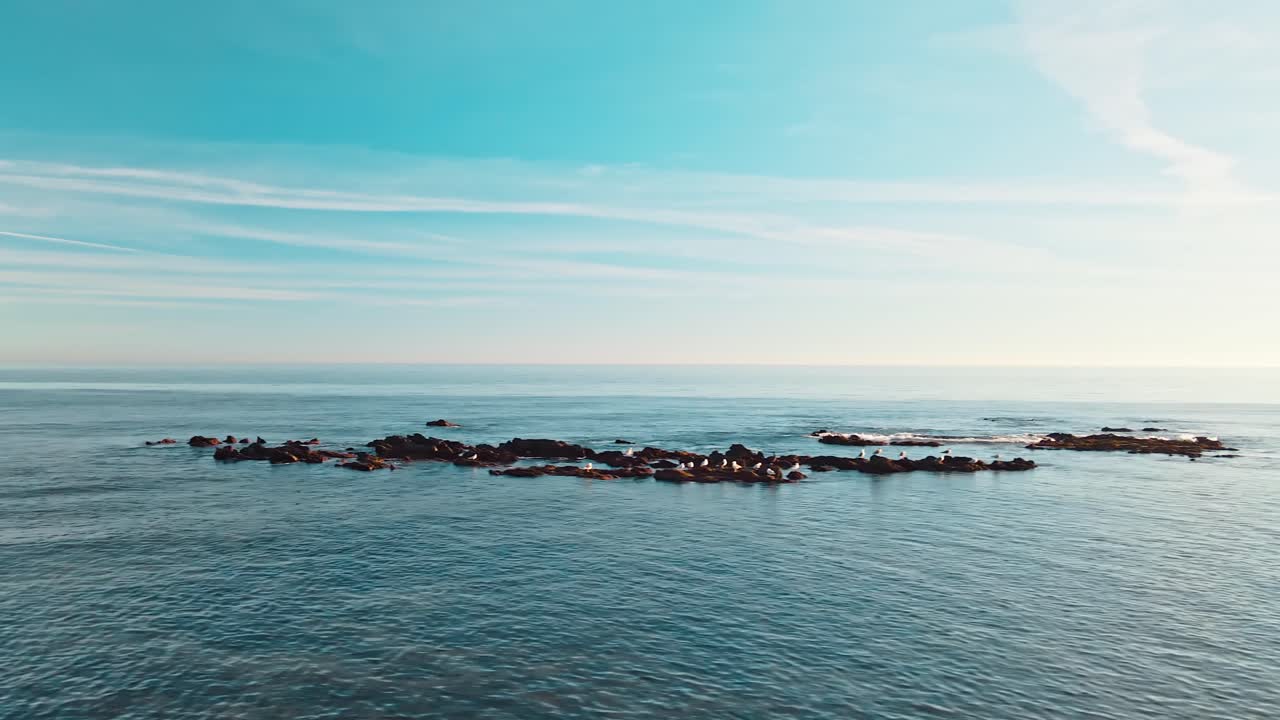 광활한 푸른 바다에 갈매기가 서 있는 고립된 흩어진 바위