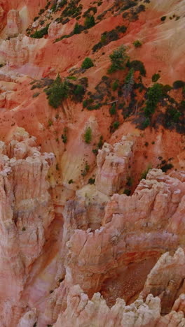 amazing outlandish rocky columns of bryce canyons at daytime. green pine trees and moss growing on the tops of mountains. aerial view. vertical video