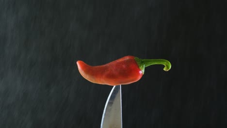 a red jalapeno chili on a knife being delicately misted until it's covered by a few drops of water