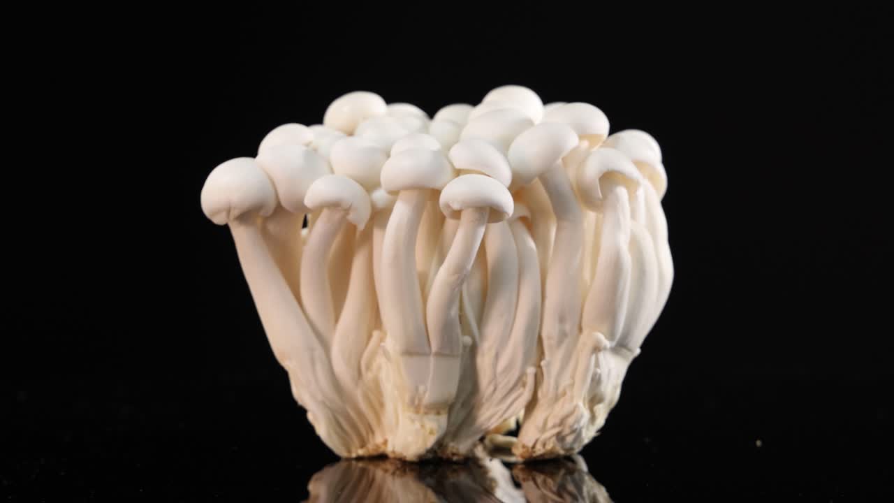 A cluster of white beech mushrooms spins smoothly on a reflective black surface, illuminated by soft studio lighting, highlighting texture and form