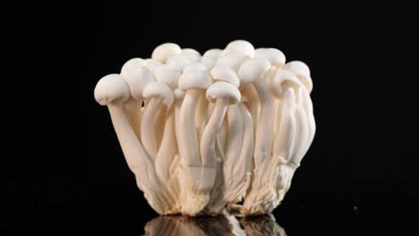 a cluster of white beech mushrooms spins smoothly on a reflective black surface, illuminated by soft studio lighting, highlighting texture and form