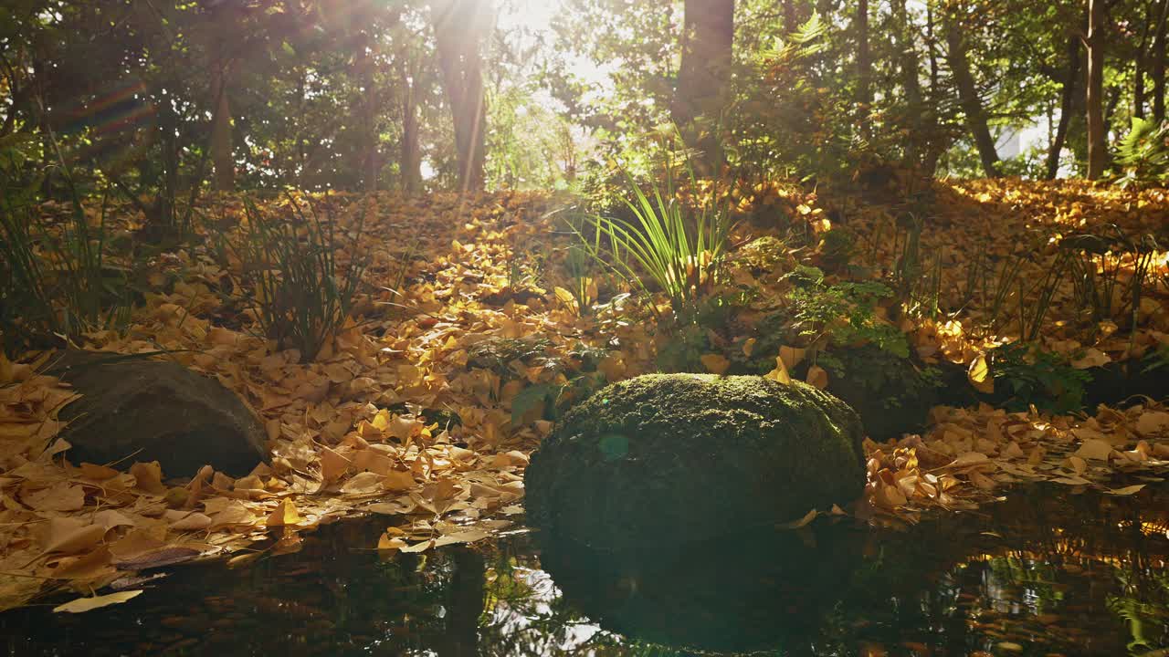 Uma foto deslumbrante em ângulo baixo de uma estrela do mar brilhante filtrando-se através de um denso dossel de outono, iluminando um tapete vibrante de folhas amarelas de ginkgo no chão da floresta ao lado de um lago de jardim tranquilo