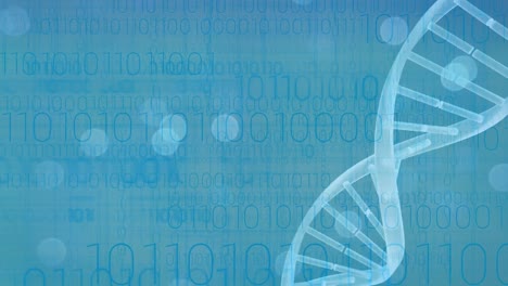 Animation-Des-DNA-Strangs-über-Die-Datenverarbeitung