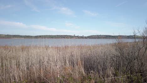 medina lake or lagoon in reed landscape in jerez de la frontera, spain, pan left