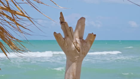 Nahaufnahme-Von-Treibholz,-Das-Im-Sommer-Am-Strand-Steht,-Mit-Meereswellen-Im-Hintergrund