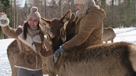 tourist taking selfie with fawns