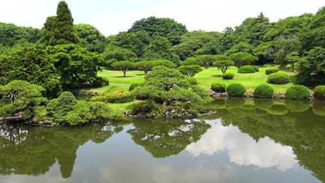 la vista del lago con el reflejo del árbol en el jardín nacional shinjuku gyoen