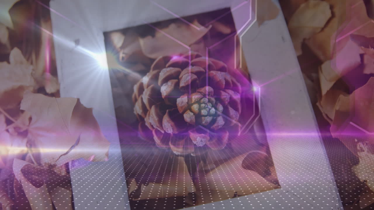 senderos de luz rosada y formas abstractas contra el up close de un marco sobre la piña y las hojas de arce