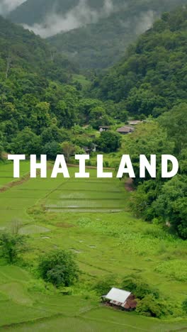 video de drone vertical de campos de arroz en terrazas cubiertos con gráficos animados que deletrean tailandia