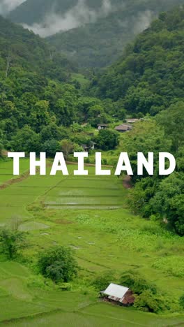 vertical video drone shot of terraced rice paddy fields overlaid with animated graphic spelling out thailand