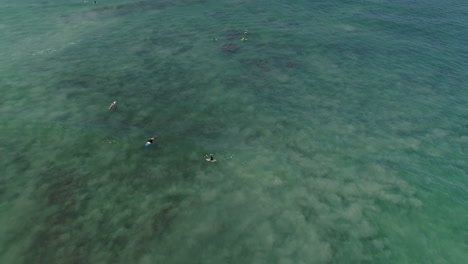 Quickly-rising-aerial-looking-down-to-surfers-in-pretty-turquoise-water,-4K