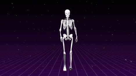 Menschliches-Skelett,-Das-Im-Violetten-Hintergrund-Läuft