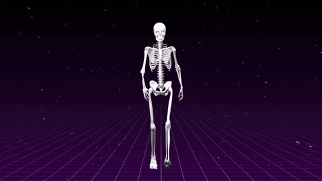 human skeleton walking in the purple background