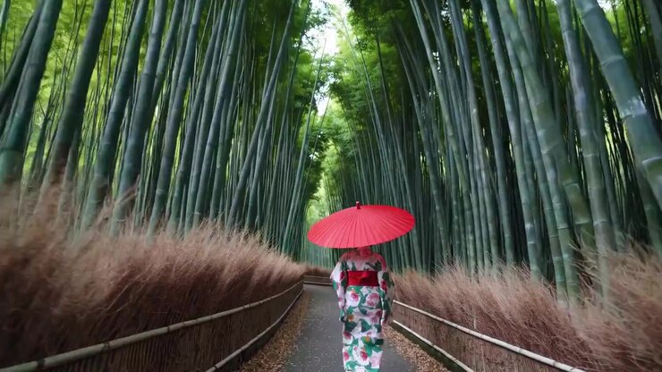 Donna in kimono con ombrello rosso che cammina attraverso una foresta di bambù