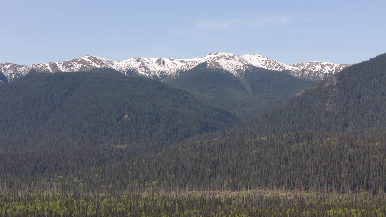 Drone footage of deforestation in the Canadian forest