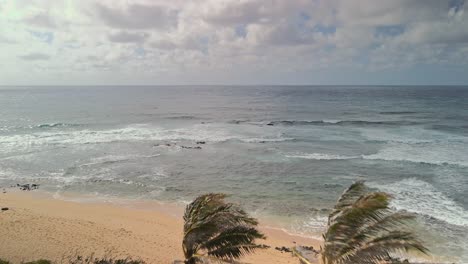 Aerial-view-of-passing-palm-trees-on-a-windy-sunny-day-at-the-beach