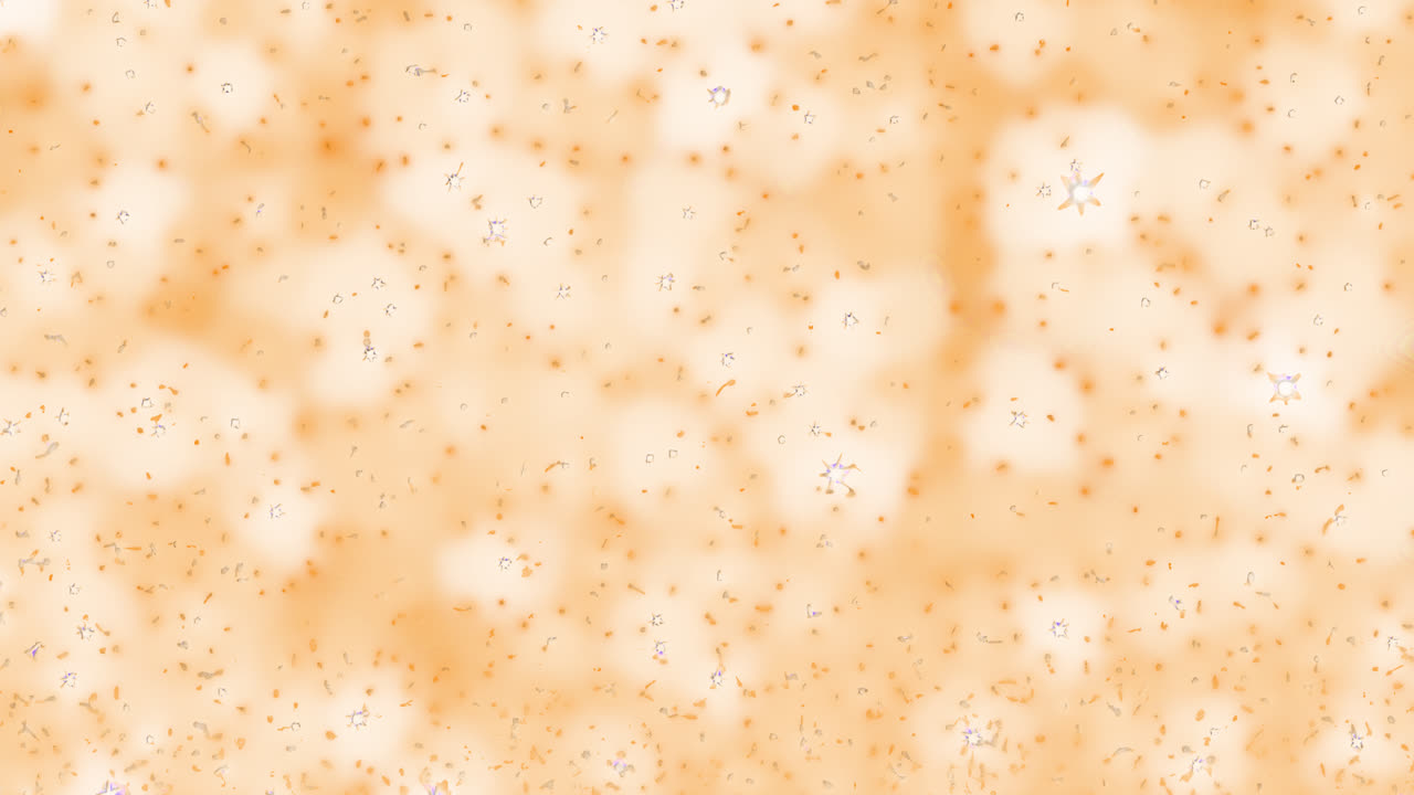 Starry sky animated overlay, transparent 4K video, alpha channel, ProRes 4444