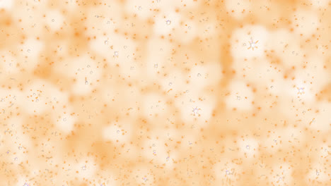 starry sky animated overlay, transparent 4k video, alpha channel, prores 4444