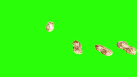 grupo de animación de cacahuetes en pantalla verde tecla de croma, elementos de fuente gráfica