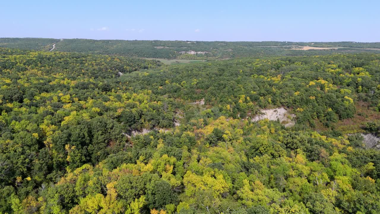 Drone footage of a vast valley forest landscape with trees turning from green to yellow under a clear blue sky. Expansive natural scenery ideal for travel and environmental themes