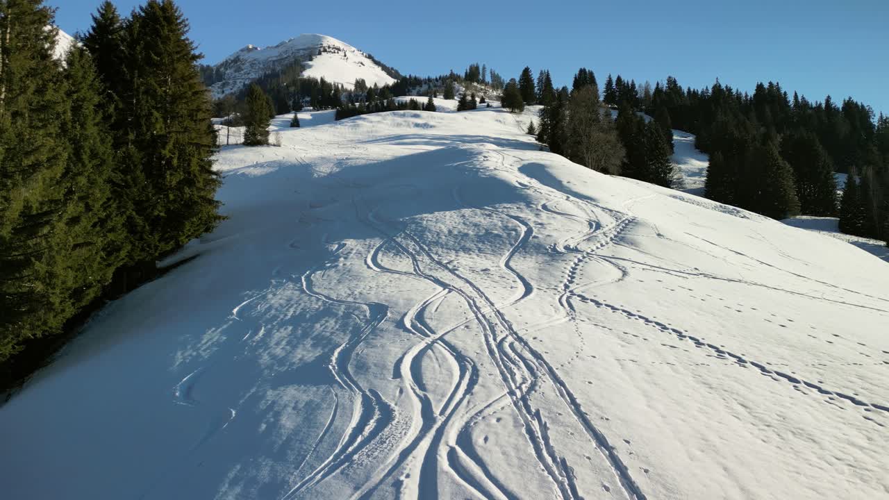 Skiing tracks in the Swiss Alps on a pristine slope