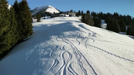 skiing tracks in the swiss alps on a pristine slope