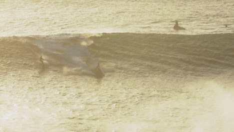 jet skier towing surfer onto huge wave at nazaré beach in portugal