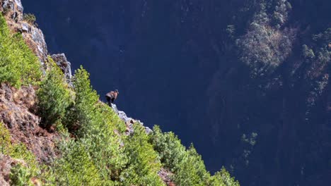 A-Himalayan-Tahr-standing-on-a-rock-pinnacle-and-looking-out-over-the-vast-depths-below-with-the-high-Mountains-above