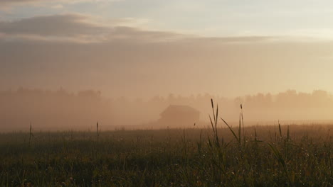 barn on a field covered in mist at sunset, amazing russian countryside landscape