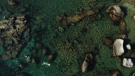 aerial drone shot of the ocean coastline scattered with rocks and swimmer with snorkle