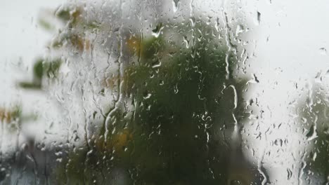 Nahaufnahme-Von-Regen,-Der-Auf-Das-Fenster-Fällt,-Mit-Verschwommenem-Hintergrund-Windblasender-Pflanzen