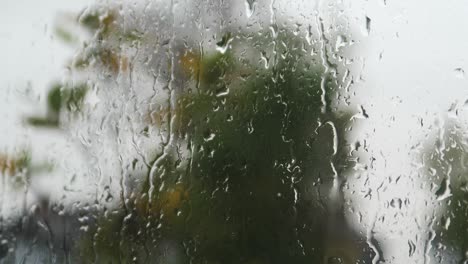 primer plano de la lluvia que cae sobre la ventana con un fondo borroso de plantas que soplan viento