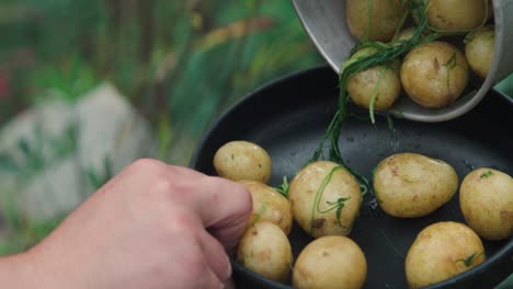 fresh potatoes with dill pouring into pan
