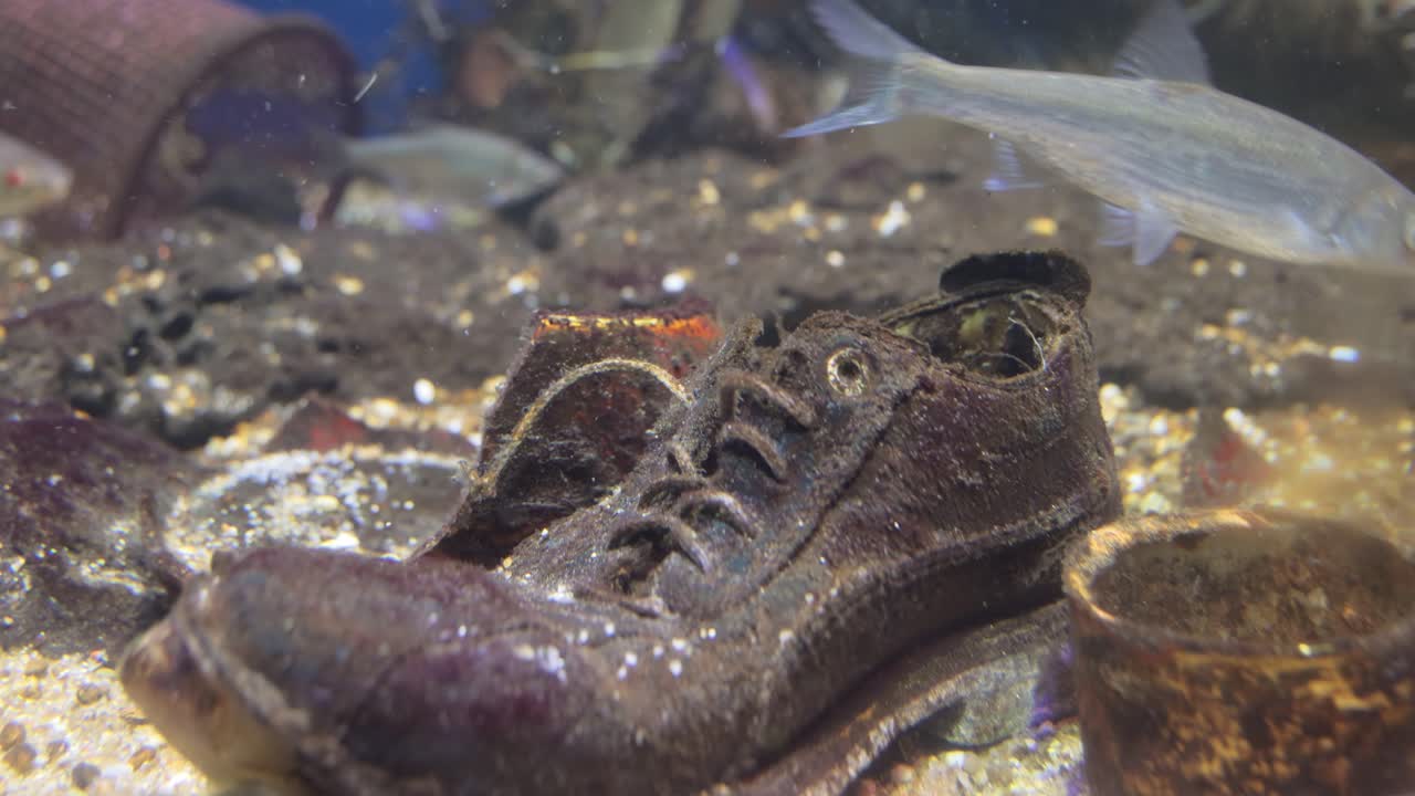 problemas medioambientales relacionados con la contaminación del agua.