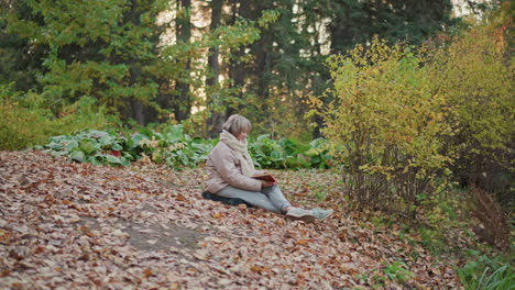 woman seated on leafy forest ground flipping through book pages in quiet autumn scenery surrounded by yellow shrubs, lush greenery, and tall trees glowing under soft golden sunlight in early evening