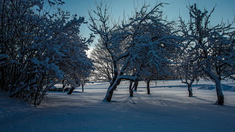 static shot of snow covered trees and plains on a cloudy day in timelapse