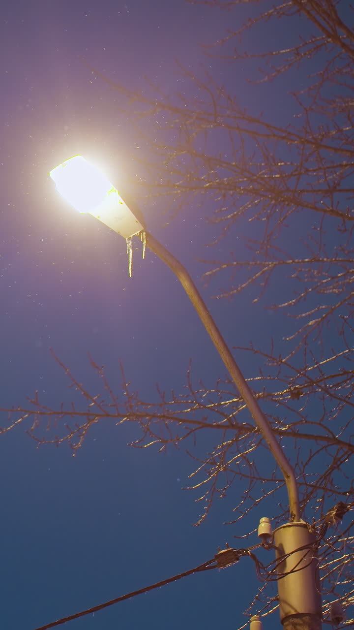 la luz de la calle brillando contra el cielo azul oscuro profundo, iluminando las ramas desnudas de los árboles y los cables brillantes con efectos de luz suave creando una escena de invierno serena y atmosférica