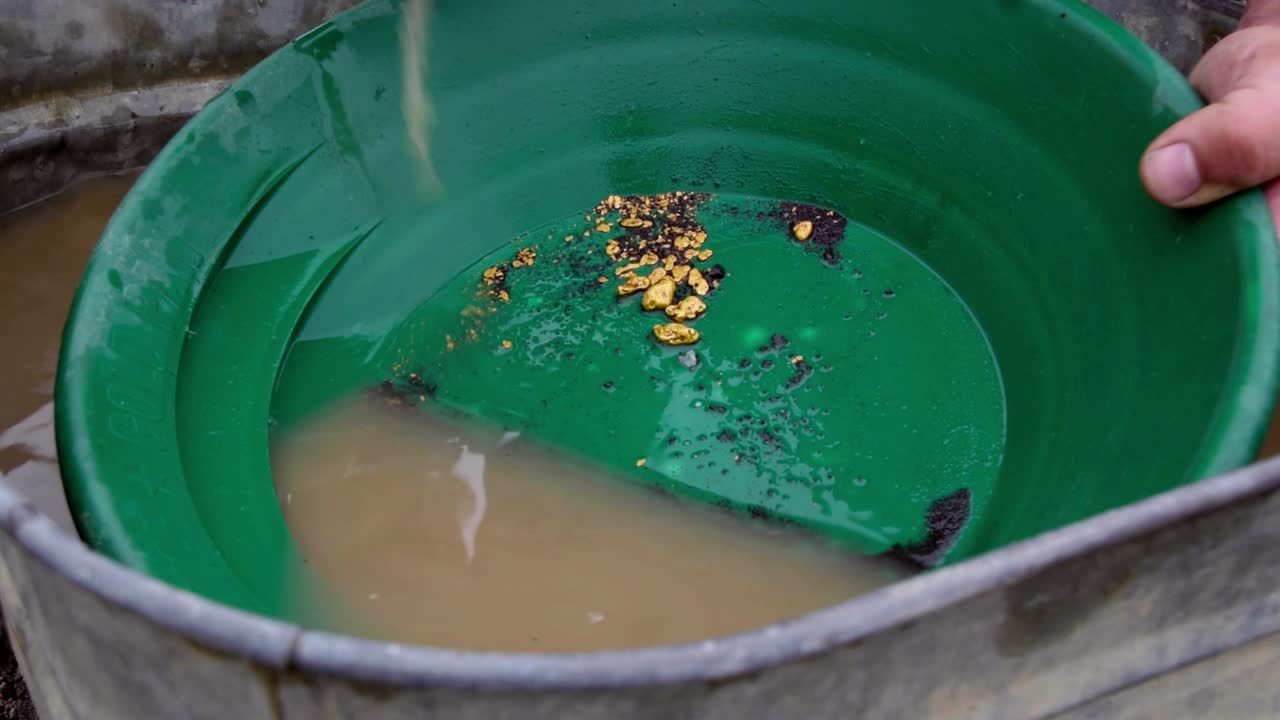 Gold panning with green trap pan with Caucasian male hands wetting, soaking, and dripping water on golden shiny nuggets in tin bucket, static close up portrait
