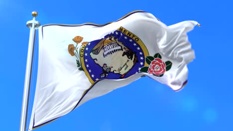 flag of sacramento county, state of california in united states - loop