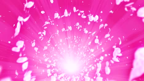 spiral shiny particle of cherry blossoms. sakura pattern. japanese cherry dancing. vortex from pink petals. abstract loop animation.