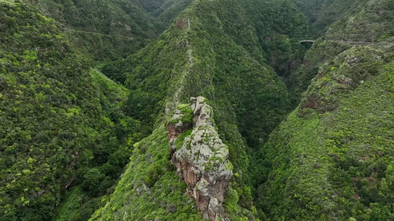Aerial View of a Lush Green Valley with a Bridge and Cliff
