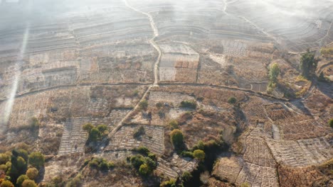 chinese forest deforestation for agricultural land, human impact, aerial view