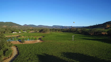una antena de baja elevación sobre hileras de viñedos en el condado de sonoma del norte de california con globos aerostáticos en la distancia 2