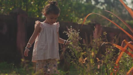 Ein-Schönes-Junges-Mädchen,-Das-Draußen-In-Einem-Garten-Spielt-Und-Spaß-Hat-Und-An-Einem-Sonnigen-Tag-Blumen-Pflückt