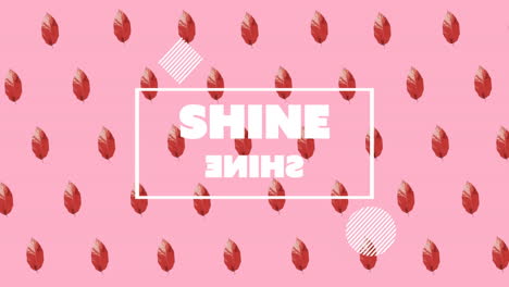 animación de texto brillante sobre patrón rojo en fondo rosa