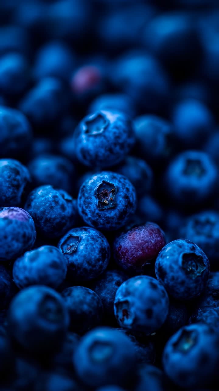 신선한 블루베리의 클로즈업